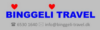 Binggeli Travel